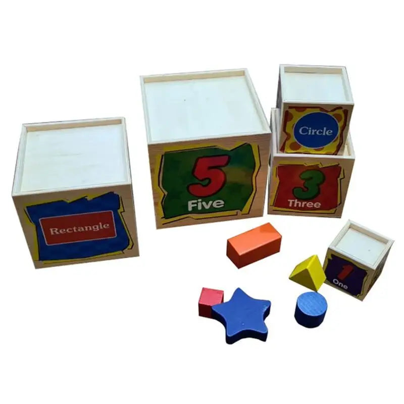 Wooden Wisdom Sorter Shape Blocks 5Pcs Set