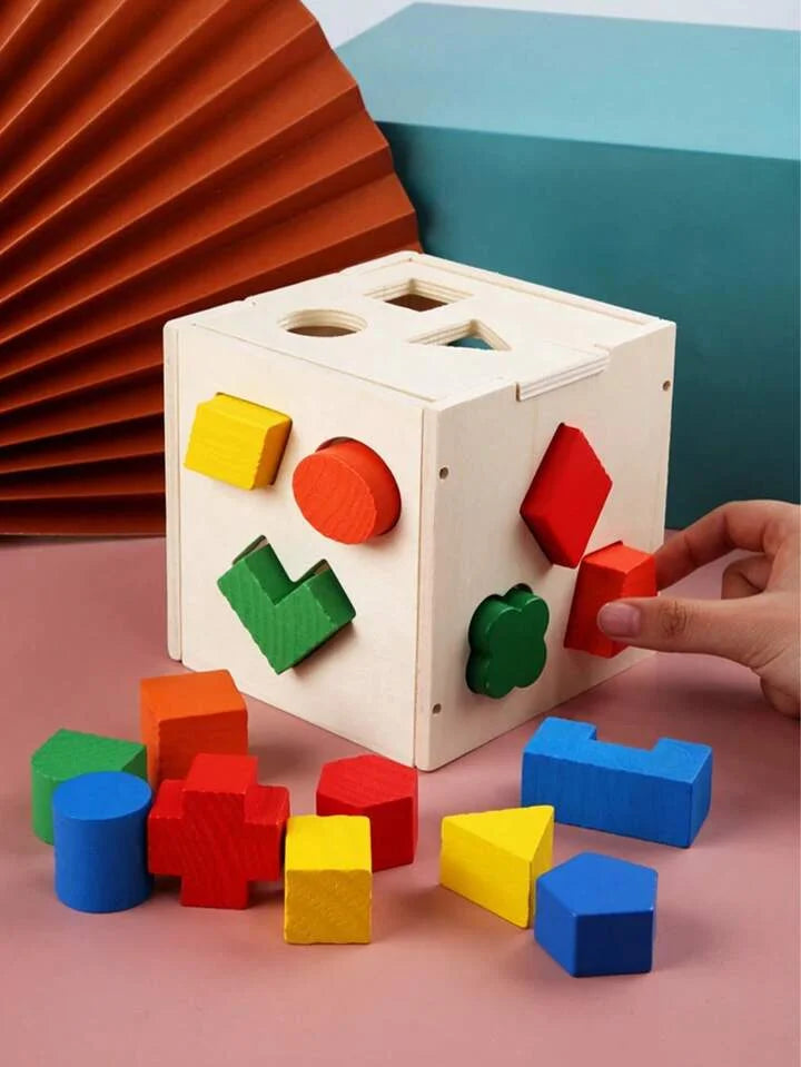 Wooden Educational 15 Hole Geometric Shapes Intelligence Box