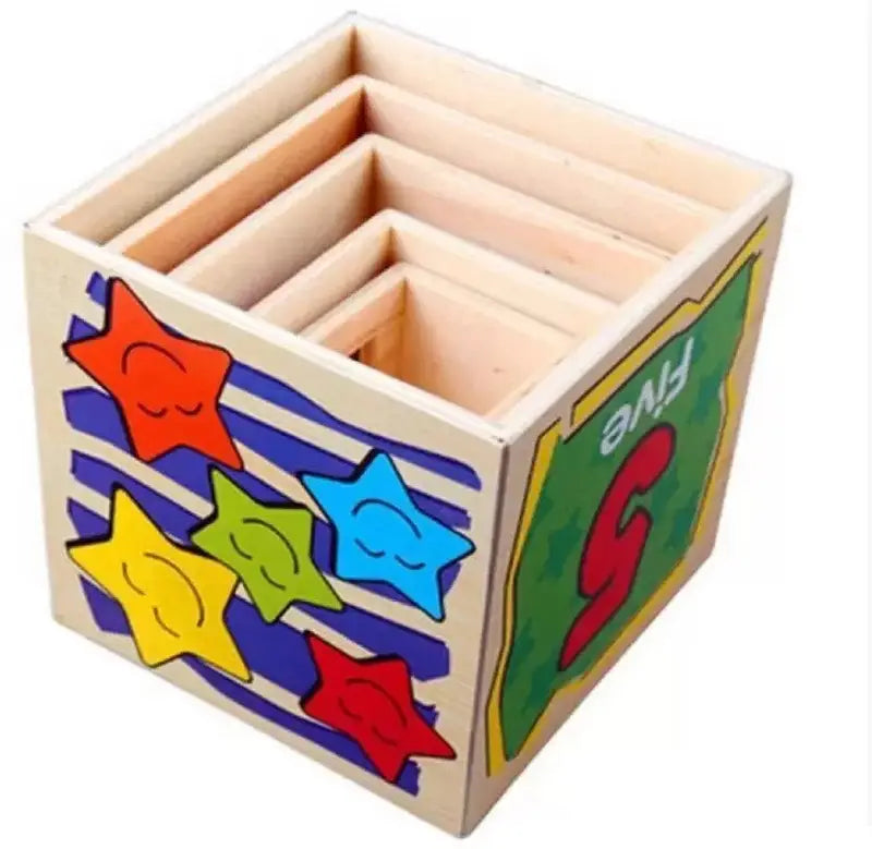 Wooden Wisdom Sorter Shape Blocks 5Pcs Set